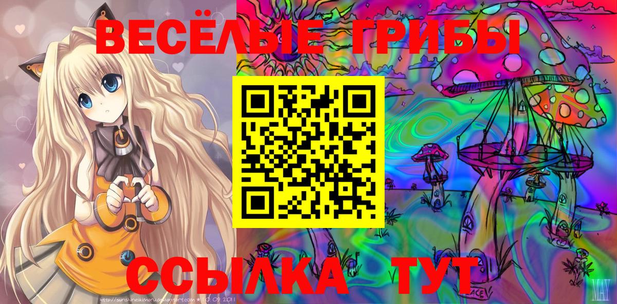 Минусинск  Псилоцибиновые грибы GOLDEN TEACHER  Вход с VPN 